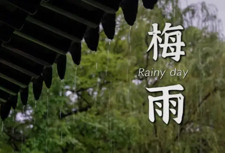 金煌四時煥新寶典｜小滿特輯：告別“霉味”實(shí)用指南